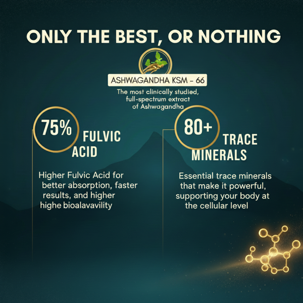 Shilajit Gold 20g - Buy 1 Get 1 FREE