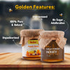 Wild Forest Honey + Organic Honey 260 GM + 260 GM (Pack of 2)