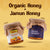 Jamun Honey + Organic Honey 260 GM + 260 GM (Pack of 2)